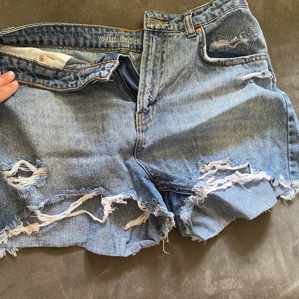 Wild Fable shorts - Distressed Darker